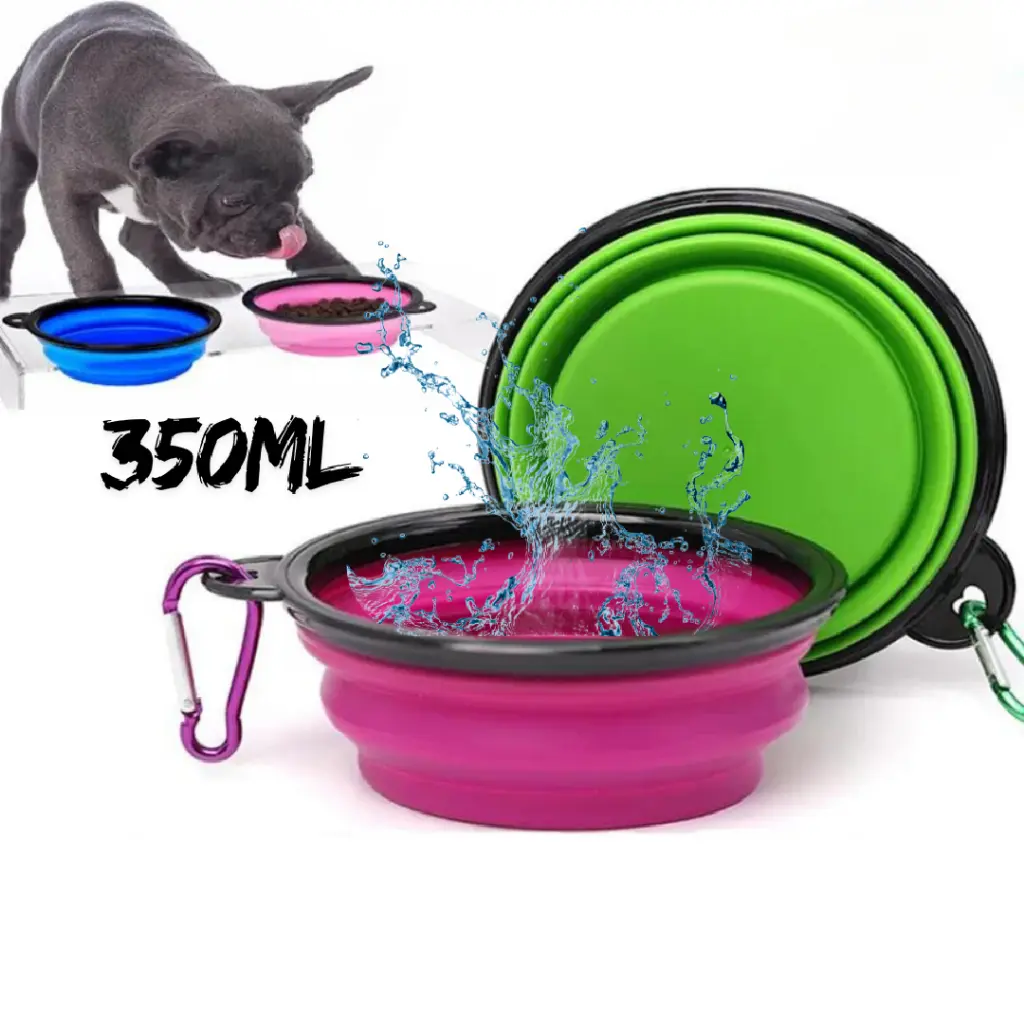 Imagen 4.webp