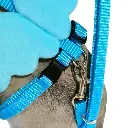 Imagen 3.webp