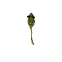 Imagen 2.webp