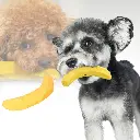 Imagen 2.webp