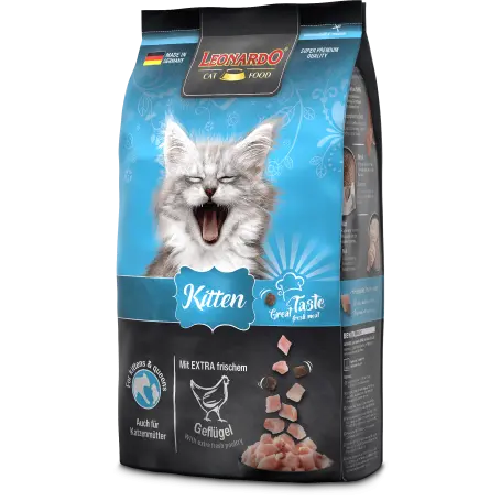  LEONARDO KITTEN. PRESENTACIÓN 1.8 KG