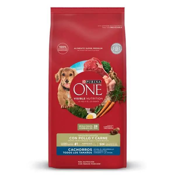 PURINA ONE CACHORRO POLLO Y CARNE. PRESENTACIÓN 2 KG